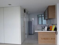 The Chuan (D19), Condominium #559151051
